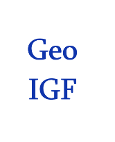 Georgia Logo IGF